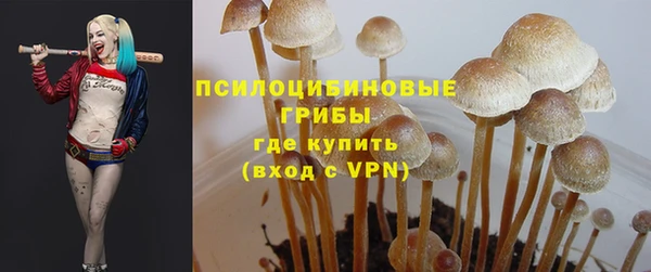 ALPHA-PVP Белокуриха