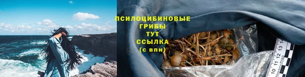 спайс Богданович