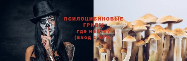 гашик Богородицк