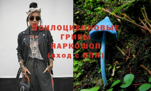 гашик Богородицк